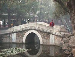 bridge1.jpg (20385 bytes)