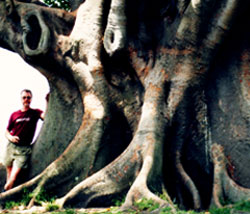 Joe Landsberger Sydney, Australia January 1987